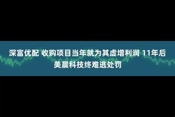 深富优配 收购项目当年就为其虚增利润 11年后美晨科技终难逃处罚