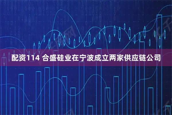 配资114 合盛硅业在宁波成立两家供应链公司